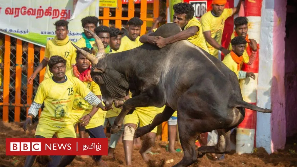 அவனியாபுரம்: ஆண்டின் முதல் ஜல்லிக்கட்டு தொடங்கியது - இந்தாண்டு புதிய மாற்றங்கள் என்ன தெரியுமா?