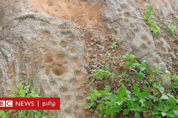 மூதாதை மனிதர்கள் ஹோமோ எரக்டஸ்: பழனியில் கண்டறியப்பட்ட 4 லட்சம் ஆண்டுக்கு முந்தைய கல்லாங்குழிகள் கூறுவது என்ன?