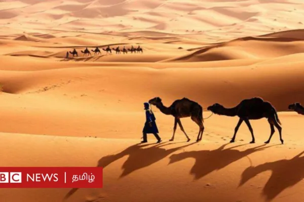 சௌதி அரேபியா வரலாறு: நாடோடிகள் கட்டமைத்த பாலைவன தேசம் - மெக்கா முஸ்லிம் வசமானது எப்போது?