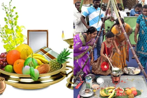 Pongal : பொங்கல் விழா எதற்காக கொண்டாடப்படுகிறது.. 4 நாட்களின் சிறப்பு என்ன? இதோ விவரம்!