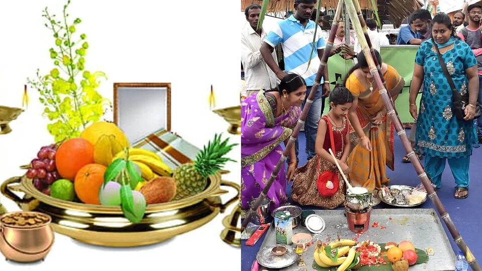 Pongal : பொங்கல் விழா எதற்காக கொண்டாடப்படுகிறது.. 4 நாட்களின் சிறப்பு என்ன? இதோ விவரம்!