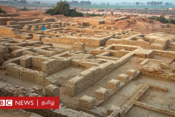 சிந்துச் சமவெளி குறியீடுகள் திராவிட மொழிக் குடும்பத்தைச் சேர்ந்தவையா? புதிய ஆய்வு கூறுவது என்ன?