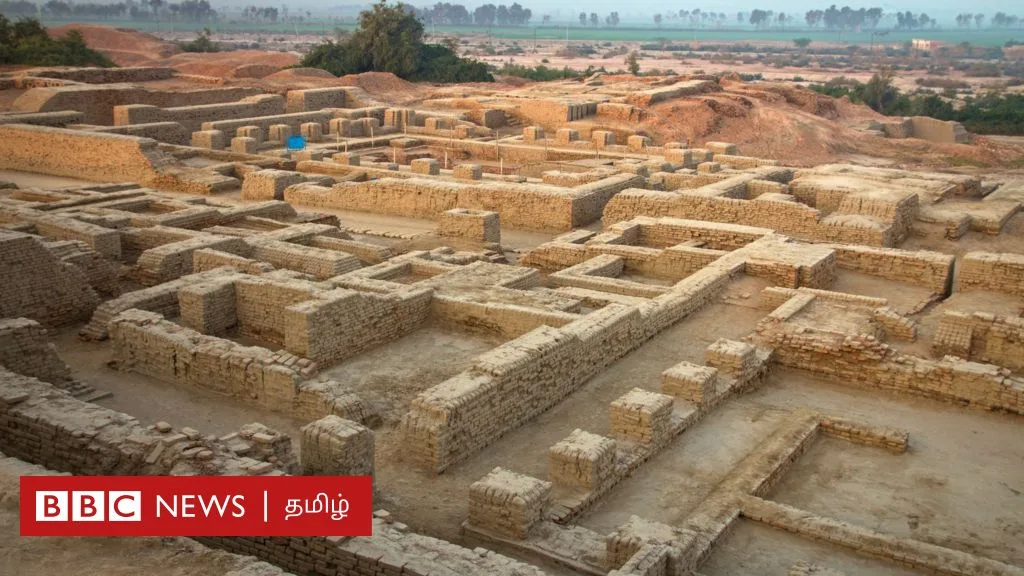 சிந்துச் சமவெளி குறியீடுகள் திராவிட மொழிக் குடும்பத்தைச் சேர்ந்தவையா? புதிய ஆய்வு கூறுவது என்ன?