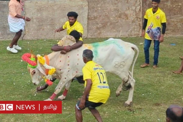 இலங்கையில் தமிழக வீரர்கள் உதவியுடன் பிரமாண்ட ஜல்லிக்கட்டு: எப்படி நடக்கிறது?