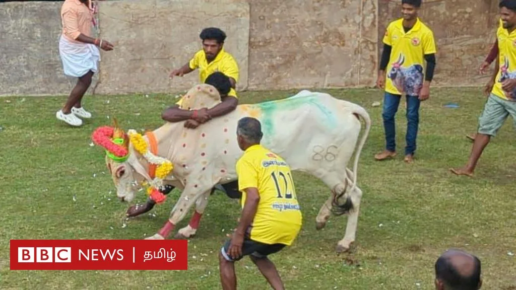 இலங்கையில் தமிழக வீரர்கள் உதவியுடன் பிரமாண்ட ஜல்லிக்கட்டு: எப்படி நடக்கிறது?