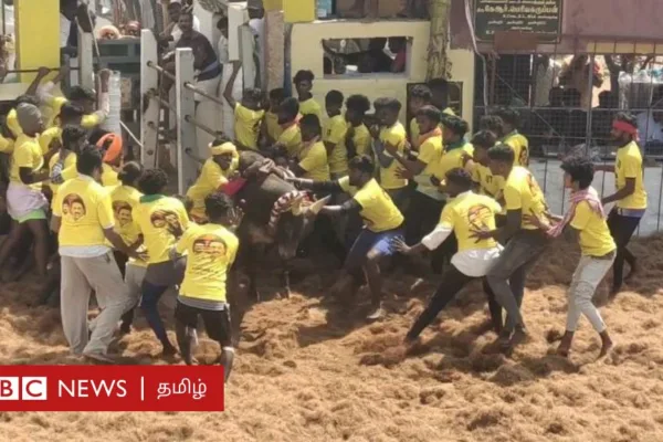 சிறாவயல் மஞ்சுவிரட்டு: விதிகளை மீறி மாடுகளை கூட்டத்தில் அவிழ்த்துவிடுவதே விபத்துகள் தொடரக் காரணமா?