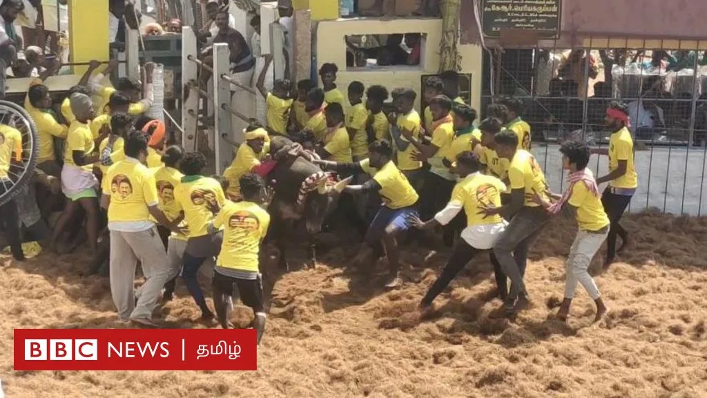 சிறாவயல் மஞ்சுவிரட்டு: விதிகளை மீறி மாடுகளை கூட்டத்தில் அவிழ்த்துவிடுவதே விபத்துகள் தொடரக் காரணமா?