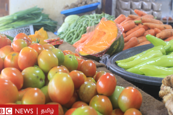 இலங்கை: தக்காளி ரூ.700, கேரட் ரூ.800-க்கு விற்பனை; காய்கறிகள் விலை 7 மடங்கு உயர என்ன காரணம்?
