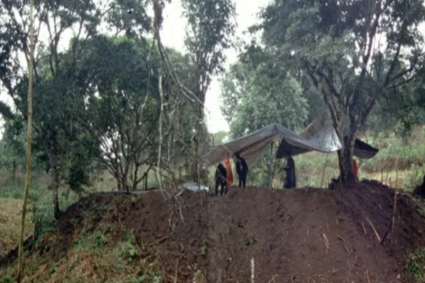 அமேசான் காட்டில் கிடைத்த 2,500 ஆண்டுகள் பழைய நகரம்: மாயன்கள் வாழ்ந்த பகுதியா?