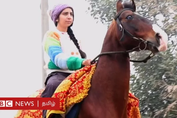 குதிரைப் பண்ணை நடத்தும் பஞ்சாப் மற்றும் ஹரியாணா பெண்கள்