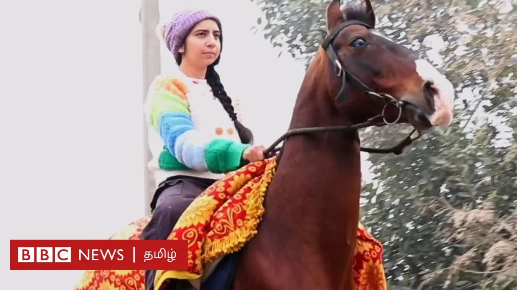 குதிரைப் பண்ணை நடத்தும் பஞ்சாப் மற்றும் ஹரியாணா பெண்கள்