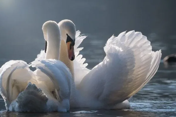 ஜனவரி 2024 காதல் ராசிபலன்கள்.. யாருக்கு சாதகம்.. யாருக்கு பாதகம்.. இதோ பாருங்க!