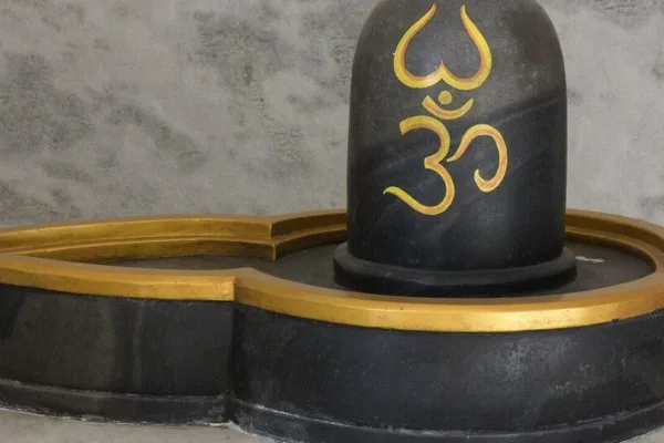 Lucky Rasis: மகர சங்கராந்தியில் இந்த 3 ராசிகளுக்கு காத்திருக்கும் பம்பர் பரிசு