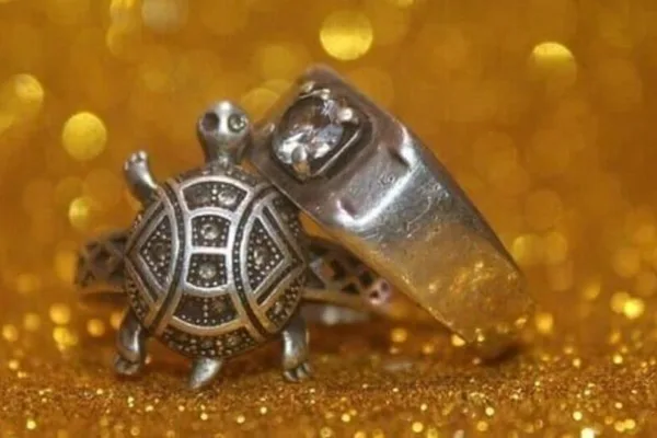 Tortoise ring: ஆமை மோதிரம் அணிந்தால் என்ன நடக்கும்.. எந்த விரலில் அணிய வேண்டும் பாருங்க!