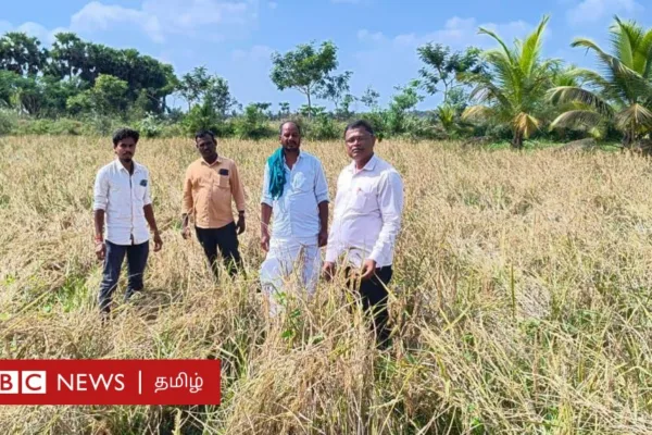 தஞ்சை: தரிசாக விடப்பட்ட நிலத்தில் ஓராண்டுக்குப் பிறகு மூட்டைமூட்டையாக நெல் விளைந்தது எப்படி?