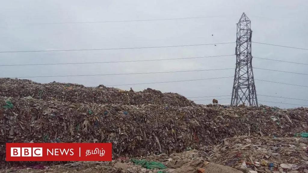 பெருங்குடி குப்பைக் கிடங்கு: பசுமைப் பூங்கா அமைப்பதால் பள்ளிக்கரணைக்கு பேரழிவா? மக்கள் எதிர்ப்பது ஏன்?