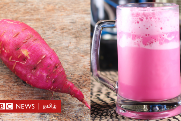 ரோடமைன் பி: பஞ்சு மிட்டாயில் உள்ள நச்சுப் பொருள், நீங்கள் விரும்பி சாப்பிடும் வேறு எந்தெந்த பண்டங்களில் இருக்கிறது தெரியுமா?