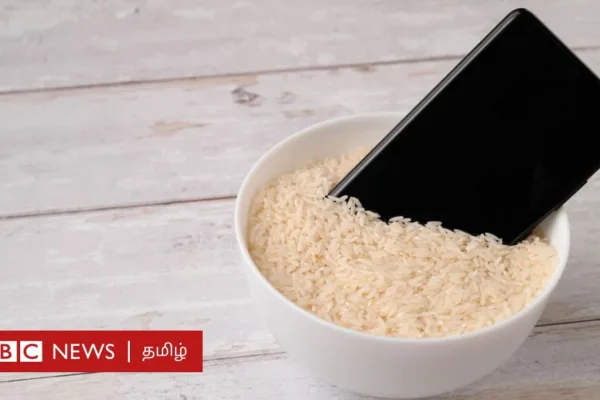 ஈரமான செல்போனை உலர்த்த என்ன செய்ய வேண்டும்? அரிசிக்குள் வைத்தால் என்ன ஆகும்? - ஆப்பிள் நிறுவனத்தின் எச்சரிக்கை