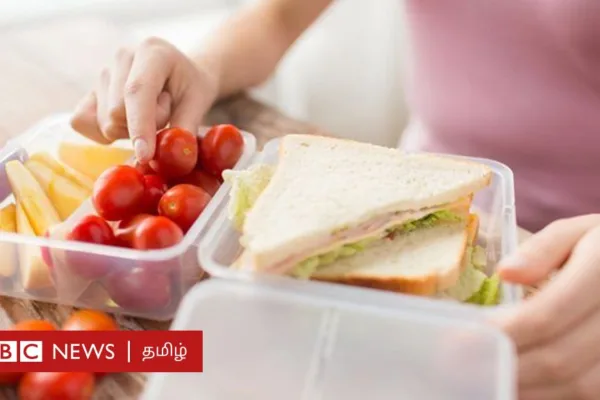 பிளாஸ்டிக் டப்பாவில் வைக்கும் உணவு ரசாயனத்தை உறிஞ்சி புற்றுநோய் அபாயத்தை அதிகரிக்குமா?