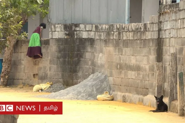 திருப்பூர்: தீண்டாமைச் சுவரா? பாதுகாப்புச் சுவரா? தேவேந்திரன் நகர், விஐபி கார்டன் இடையே நடப்பது என்ன? பிபிசி கள ஆய்வு