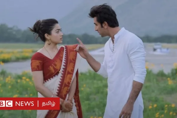 அனிமல் திரைப்படத்தில் அப்படி என்னதான் பிரச்னை? ஏன் இவ்வளவு விமர்சிக்கப்படுகிறது?