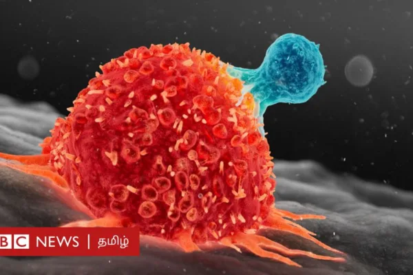 உலக புற்றுநோய் தினம்: காலநிலை மாற்றத்தால் புற்றுநோய் அதிகரிக்கும் அபாயம் - தடுப்பது எப்படி?