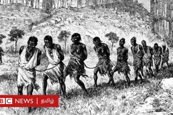 அடிமைத்தனம்: சர்க்கரை உற்பத்திக்காக ஸ்பெயின் கடத்திய அடிமைகள் என்ன ஆனார்கள்?