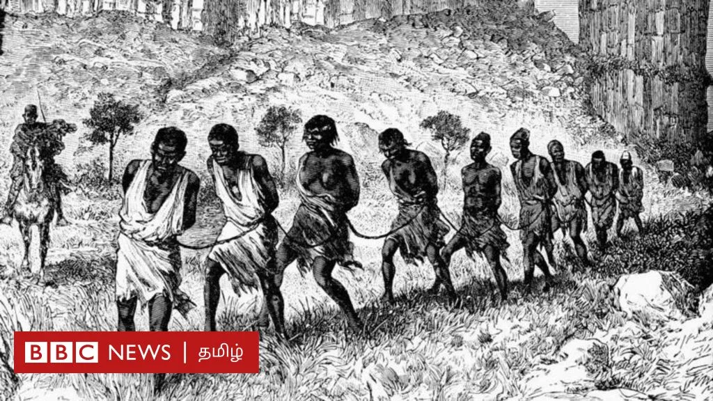 அடிமைத்தனம்: சர்க்கரை உற்பத்திக்காக ஸ்பெயின் கடத்திய அடிமைகள் என்ன ஆனார்கள்?