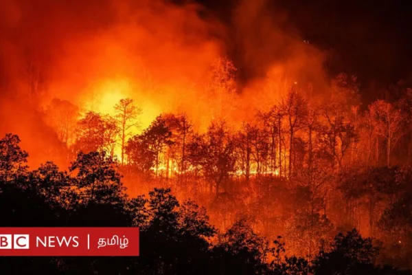 காலநிலை மாற்றம்: அபாயகரமாக உயர்ந்த புவி வெப்பநிலை - பேரழிவை தடுக்கும் ஒரே வழி என்ன?