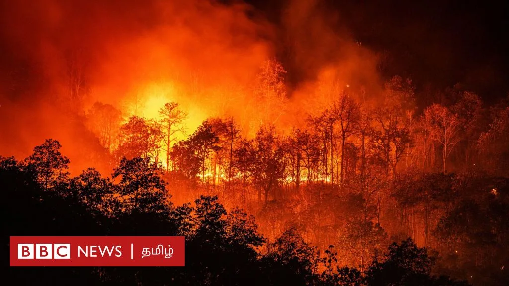 காலநிலை மாற்றம்: அபாயகரமாக உயர்ந்த புவி வெப்பநிலை - பேரழிவை தடுக்கும் ஒரே வழி என்ன?