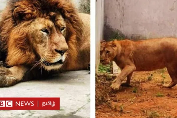 அக்பர், சீதா பெயர் சர்ச்சை தொடங்கியது எப்படி? அதில் உயர் நீதிமன்றம் தலையிட்டது சரியா?