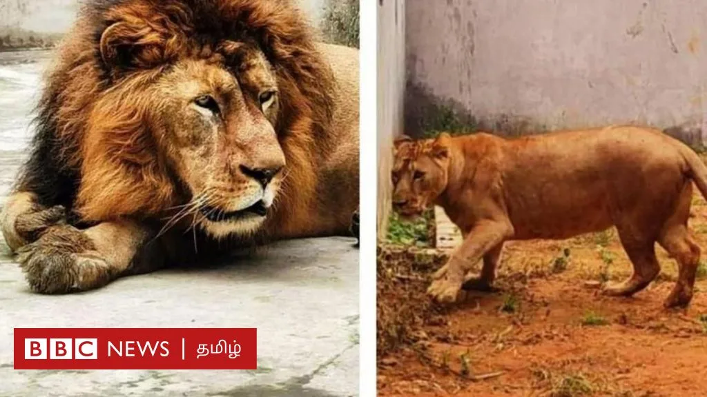 அக்பர், சீதா பெயர் சர்ச்சை தொடங்கியது எப்படி? அதில் உயர் நீதிமன்றம் தலையிட்டது சரியா?