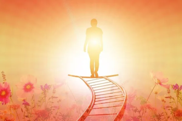 Vastu tips: வீட்டை விட்டு வெளியே செல்லும் போது இதை செய்யுங்கள்.. உங்கள் வெற்றி நிச்சயம்!