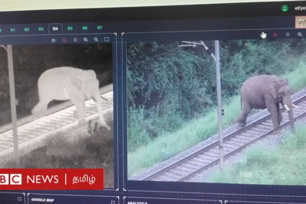கோவை: யானைகள் ரயில் விபத்தில் சிக்காமல் தடுக்கும் அதிநவீன AI கேமரா - எப்படி செயல்படுகிறது?
