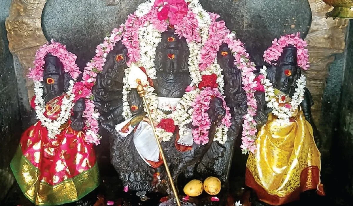 நல்லதே நடக்கும்