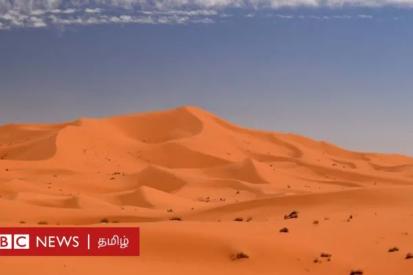 உலகின் மிகப்பெரிய நகரும் ராட்சத மணல் குன்று பற்றிய புதிரை விஞ்ஞானிகள் விடுவித்தது எப்படி?