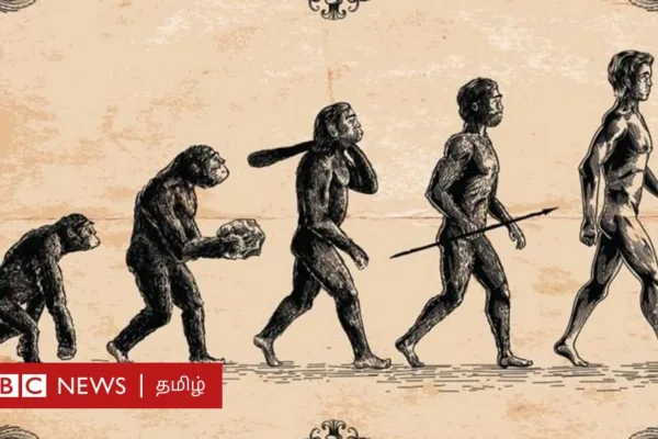 பரிணாம வளர்ச்சி: மனிதர்களுக்கு வால் இல்லாததால் ஏற்படும் நோய்கள் என்னென்ன தெரியுமா?