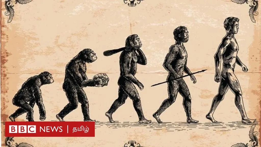 பரிணாம வளர்ச்சி: மனிதர்களுக்கு வால் இல்லாததால் ஏற்படும் நோய்கள் என்னென்ன தெரியுமா?