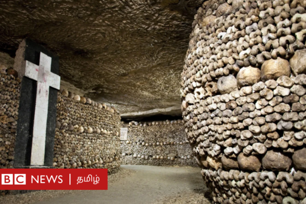 60 லட்சம் மண்டை ஓடு, ஏசுவின் முன்தோல், நெப்போலியனின் அந்தரங்க உறுப்பு, ஐன்ஸ்டீனின் மூளை - இவற்றைக் காண மக்கள் ஆர்வம் காட்டுவது ஏன்?