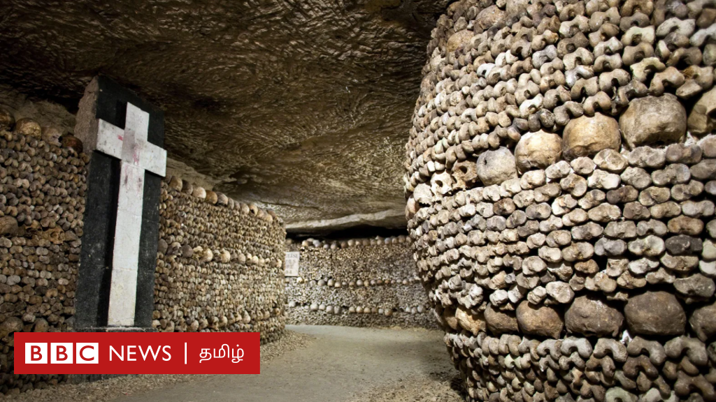 60 லட்சம் மண்டை ஓடு, ஏசுவின் முன்தோல், நெப்போலியனின் அந்தரங்க உறுப்பு, ஐன்ஸ்டீனின் மூளை - இவற்றைக் காண மக்கள் ஆர்வம் காட்டுவது ஏன்?