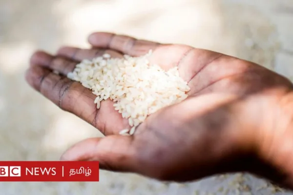 தமிழ்நாடு: ஒரு கிலோ அரிசியின் விலை 3 முதல் 6 ரூபாய் வரை உயர்ந்தது ஏன்? எப்போது குறையும்?
