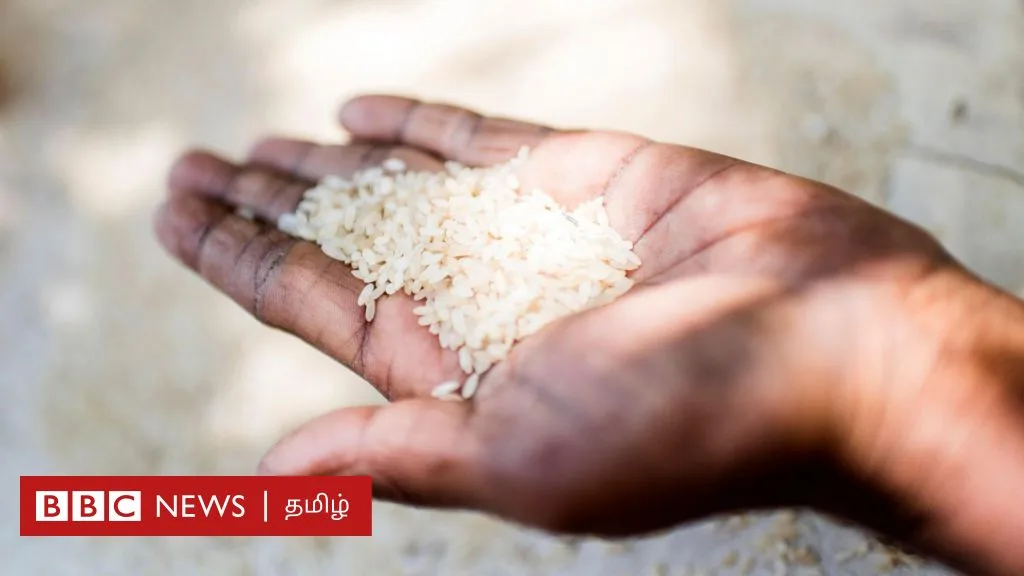 தமிழ்நாடு: ஒரு கிலோ அரிசியின் விலை 3 முதல் 6 ரூபாய் வரை உயர்ந்தது ஏன்? எப்போது குறையும்?