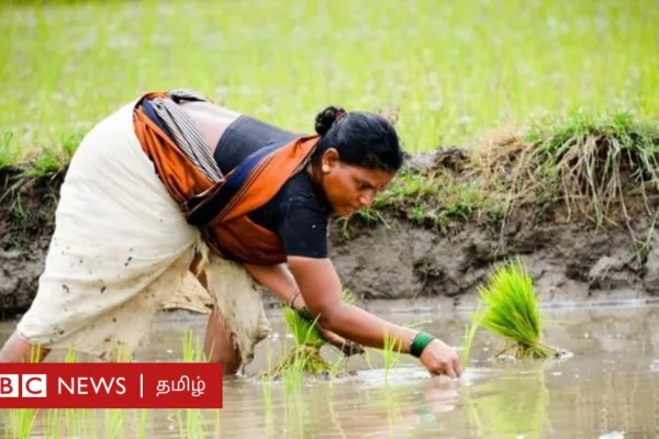 நாடாளுமன்றத் தேர்தல்: நரேந்திர மோதி அரசின் வேளாண் திட்டங்கள் தமிழக விவசாயிகளை வந்தடைந்தனவா?