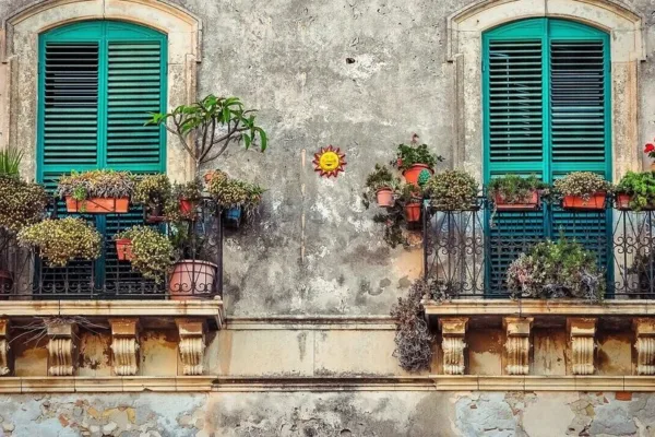 Vastu tips: தப்பி தவறி கூட உங்கள் வீட்டு பால்கனியில் வளர்க்க கூடாத செடி எது தெரியுமா?