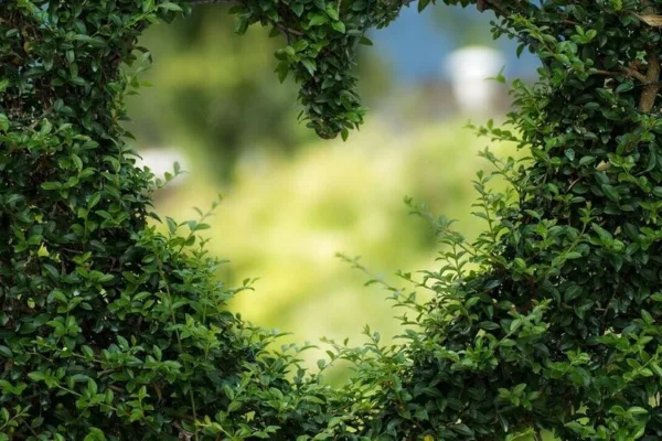 Relationship Horoscope : இந்த ராசியில் சிங்கிள்ஸ் இருக்கீங்களா?  இன்று காதலை சொன்னால் சாதகமாக முடிய வாய்ப்பு இருக்கு!