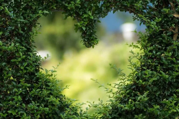 Love Horscope: நிதானம் முக்கியம் பாஸ்.. காதலில் மூழ்கி முத்தெடுக்க காத்திருக்கும் அந்த ராசியா நீங்கள்? இன்றைய ராசிபலன்!